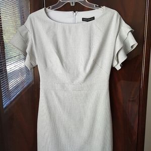 Banana Republic Classy Dress with Ruffle Sleeves